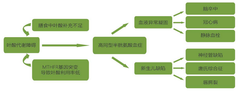 fpay钱包 -轻松支付,放心选择