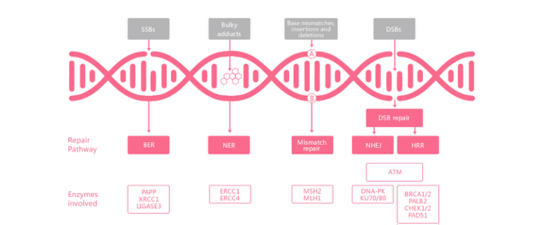 fpay钱包 -轻松支付,放心选择