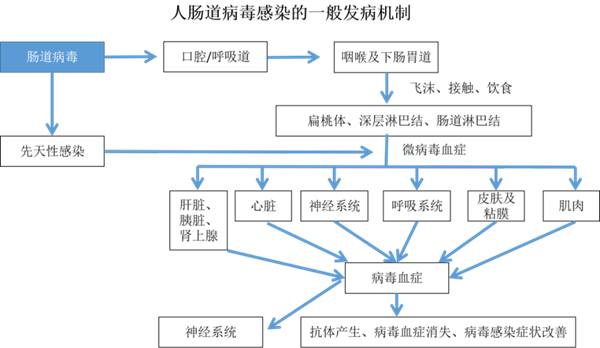 fpay钱包 -轻松支付,放心选择