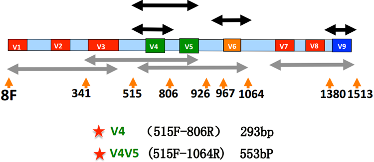 fpay钱包 -轻松支付,放心选择