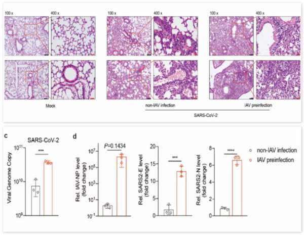 fpay钱包 -轻松支付,放心选择